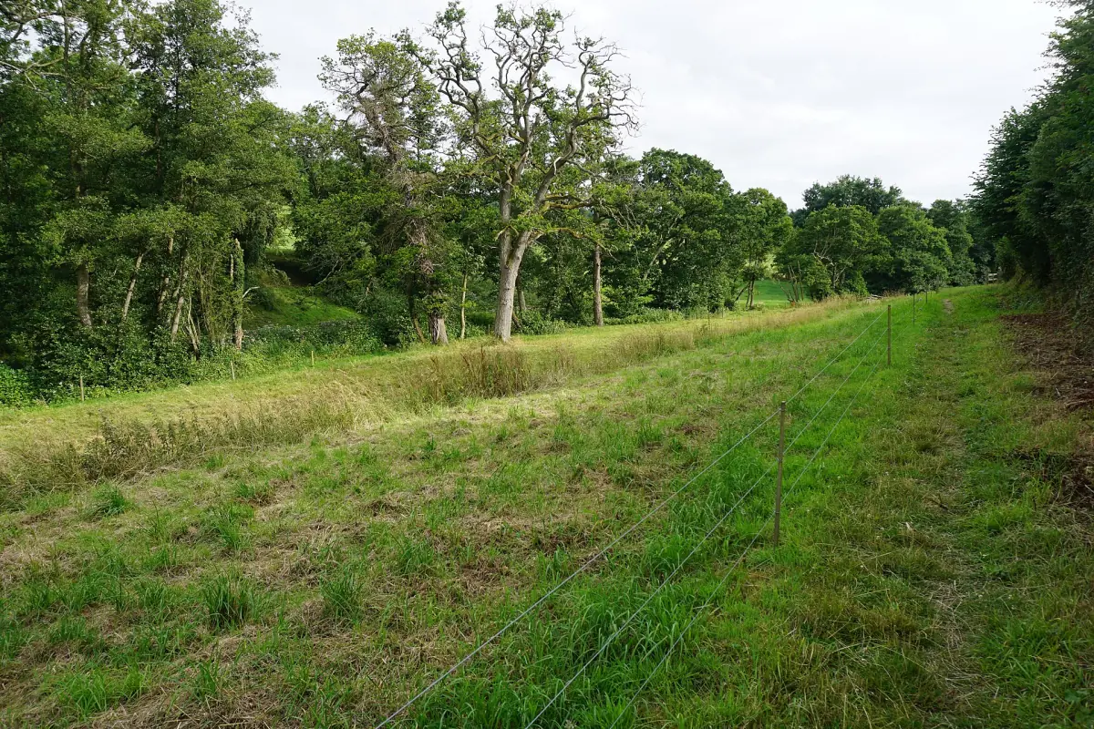 Ein Weg durch Wiesen nach Painswick