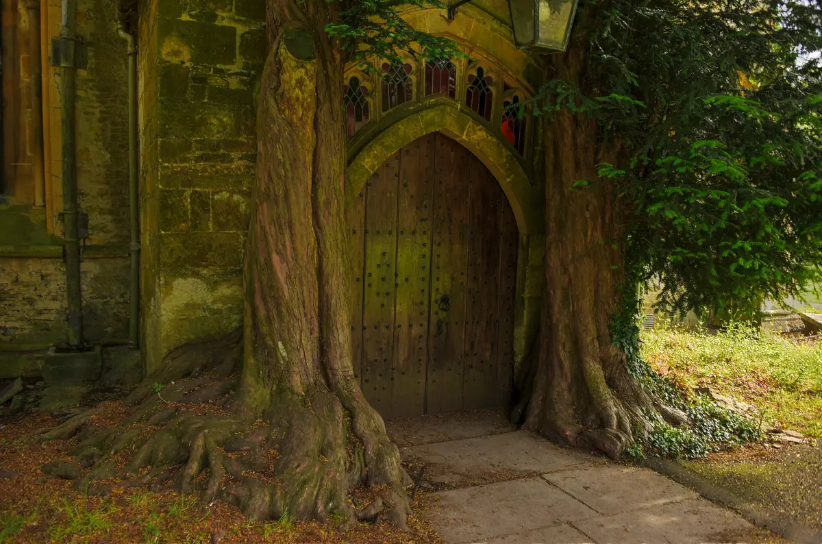 Die von Eiben gerahmte Tür der Kirche St Edward in Stow